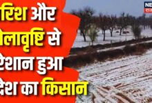 Rajasthan Weather News: बेमौसम बारिश से किसान परेशान, हो रहा फसलों को भारी नुक्सान