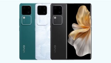 Vivo V30, V30 Pro Price in India Tipped Ahead of Launch: Expected Price, Specifications
